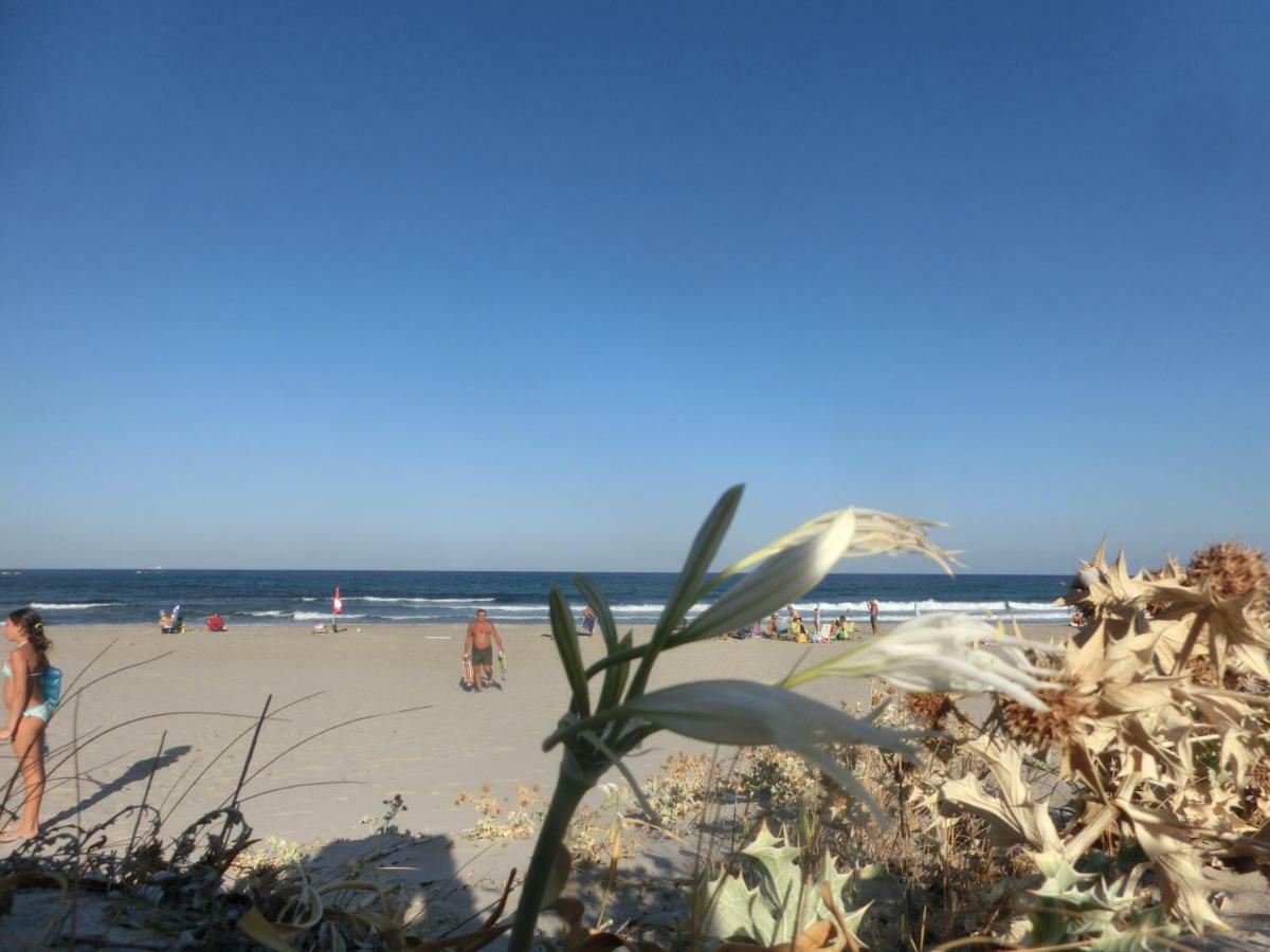 La Costa Est Villa Con Vista Mare In Ogliastra Sardegna Tertenìa Exterior foto